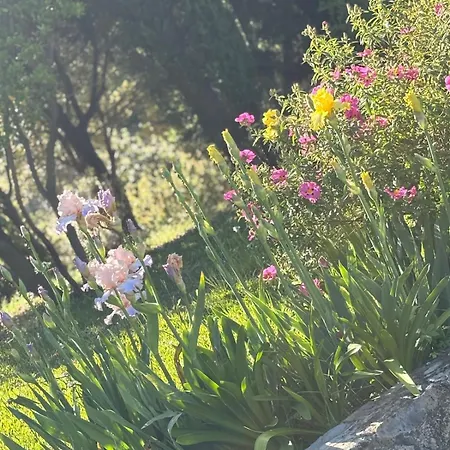Villa La Capanna Casale In Pietra Con Piscina