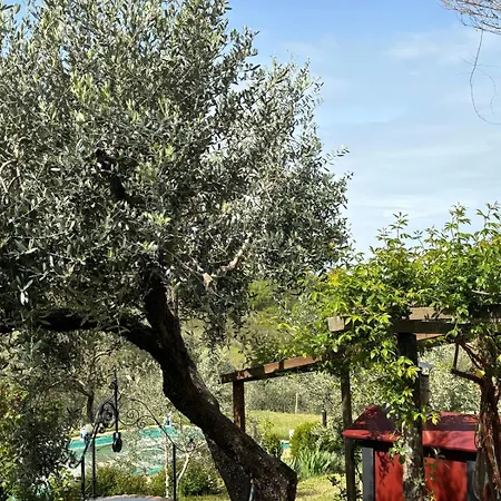 La Capanna Casale In Pietra Con Piscina ヴィラ