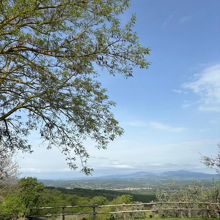 La Capanna Casale In Pietra Con Piscina Sasso d'Ombrone