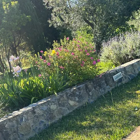 La Capanna Casale In Pietra Con Piscina ヴィラ