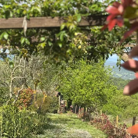 La Capanna Casale In Pietra Con Piscina ヴィラ *