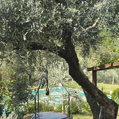 La Capanna Casale In Pietra Con Piscina Villa