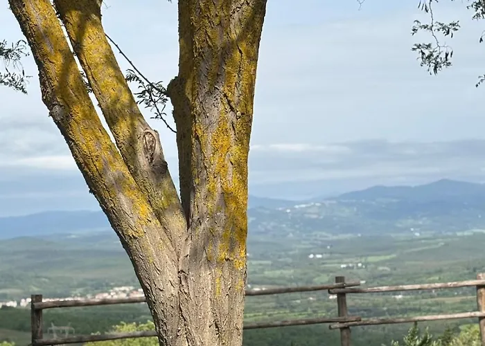 Vila La Capanna Casale In Pietra Con Piscina