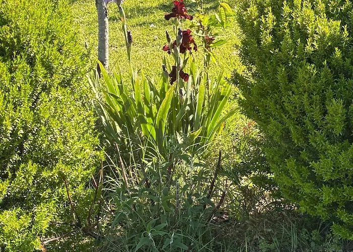 Vila La Capanna Casale In Pietra Con Piscina