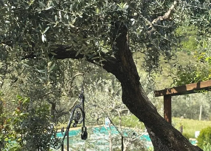 La Capanna Casale In Pietra Con Piscina Vila